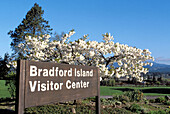 Spring blossoms at the Bradford Island Visitor Center at Bonneville Dam. Columbia River Gorge National Scenic Area. Oregon. USA