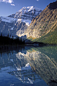 Morning light on Mount Edith Cavell reflected in Cavell Lake, Jasper National Park, Alberta, Canada