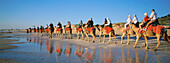 Tourists riding camels, Cable Beach, Broome, Western Australia, Australia