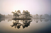 Small lake in wilderness woodlands, with fog.Västmanland. Sweden. Scandinavia