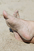 Woman s feet resting on sand beach. Skåne. Sweden