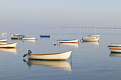 Small boats beside the Öresund bridge wich connects Denmark and Sweden