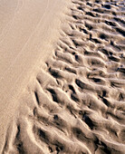 Waterlines in sand. Baltic sea. Osterlen. Skane. Sweden