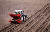 Tractor planting potatoes in field. Skåne, Sweden
