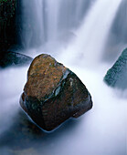 Stone in creek