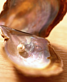 Pearl in an oyster shell