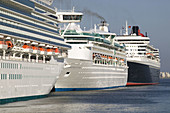 Queen Mary 2 & cruise ships in port, Boston, Massachusetts. USA