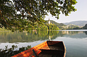 Lake Bled and Otok Island in morning. Slovenia