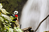 Woman at waterfall in private reserve Arenal Observatory Lodge, Arenal region, Costa Rica