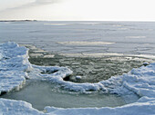 New thin ice at the shore of the Baltic Sea, Virtsu, Estonia