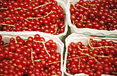 Redcurrants on a market in Ratisboen. Bavaria, Germany