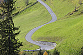 Road through alpine meadows, Zirknitztal, Alps, Carinthia, Austria