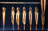 Smoked trouts