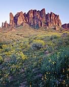 Superstition Mountains catch the last sunlight above field of Brittlebush (Encelia farinose) and Mexican Gold Poppy (Eschscholtzia mexicana) in spring bloom. Tonto National Forest, Arizona, USA