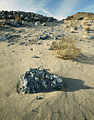 Blue rocks on sandy slope of dry lake hill, Panamint Valley. Death Valley NP. California. USA