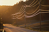 Sunlight reflects off high tension powerlines