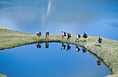 Trampers pass tarn. Above Green Lake. Fiordland National Park. New Zealand.