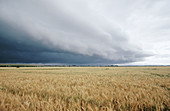 Storm clouds. Near Timaru. South Canterbury. New Zealand.