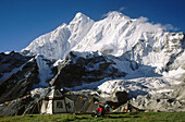 Consulting MT. Everest map. Camp at Bethang Ringmo under Chomolonzo (7.815 m.). Kangshung glacier. Tibet