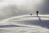 Skier with labrador dog in blowing snow. Lewis Pass. South Island. New Zealand