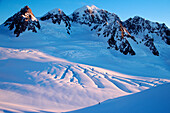 Fox Glacier. Westland National Park. Southern Alps. New Zealand