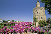 Torre del Oro. Sevilla. Spain