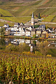 Blick über Mosel auf Merl mit Weinbergen, Zell, Rheinland-Pfalz, Deutschland