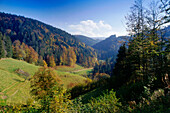 Autumn scenery near St. Margen, Black Forest, Baden-Wurttemberg, Germany