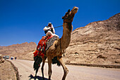 Beduine mit Dromedar in Sinai, Ägypten, Afrika