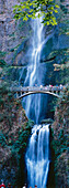 Waterfall, Multnomah Falls, Columbia River Gorge, Oregon, USA