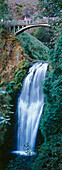 Waterfall Multnomah Falls, Columbia River Gorge, Oregon, USA