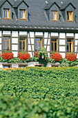 Blick auf ein Fachwerkhaus, Rheingau, Hessen, Deutschland