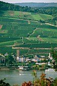 View over river Rhine to Rudesheim with vineyard, Rhine District, Hesse, Germany