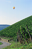 Hot-air balloon above vineyard Kaseler Nieschen, Kasel, Mosel-Saar-Ruwer, Rhineland-Palatinate, Germany