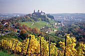 Blick über Weinberg auf Festung Marienberg, Würzburg, Franken, Bayern, Deutschland