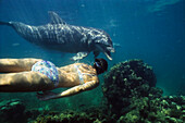 snorkler and Bottlenosed Dolphin, Caribbean, Tursiops truncatus