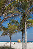 Palm trees and people at the beach at Boardwalk District, Miami Beach, Florida, USA
