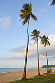 People and palm trees at the beach under cloudy sky, Luquillo, Puerto Rico, Carribean, America