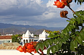 Blick auf Blumen und die Dächer der Altstadt von Ponce, Puerto Rico, Karibik, Amerika