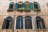 Hausfassade mit Pflanzen, Venedig, Venetien, Italien, Europa