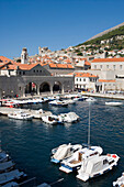 Fischerboote in Marina vom Alten Hafen der Altstadt, Dubrovnik, Dalmatien, Kroatien, Europa