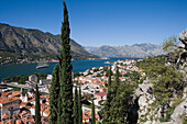 Blick auf Altstadt und Großsegler Royal Clipper im Kotor Fjord, Kotor, Montenegro, Europa