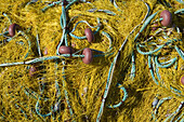Gelbe Fischernetze, Kassiopi, Korfu, Griechenland, Europa