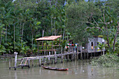 Pfahlbau Hütte am Amazonas und tropischer Regenwald auf der Combo Insel, nahe Belem, Para, Brasilien, Südamerika