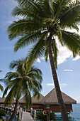 Overwater bungalows at InterContinental Tahiti Resort Hotel, Tahiti, Society Islands, French Polynesia