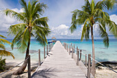 Palmen und Steg vom Le Maitai Dream Fakarava Hotel, Fakarava, Tuamotu Inseln, Französisch Polynesien, Südsee