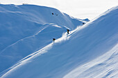 Two skiiers freeriding in powder snow, Val Segnas, Disentis, Grisons, Switzerland