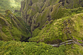 Luftaufnahme von grüner Landschaft mit Wasserfällen, Nuku Hiva, Marquesas Inseln, Polynesien, Ozeanien