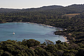 Aerial view of a bay at Porquerolles, Iles d'Hyeres, France, Europe