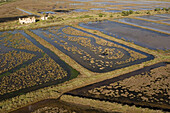 Luftaufnahme von Salinen, Salins d'Hyeres, Frankreich, Europa